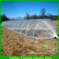 Single Layer and Solar Agricultural Greenhouses Type clear plastic film for greenhouse